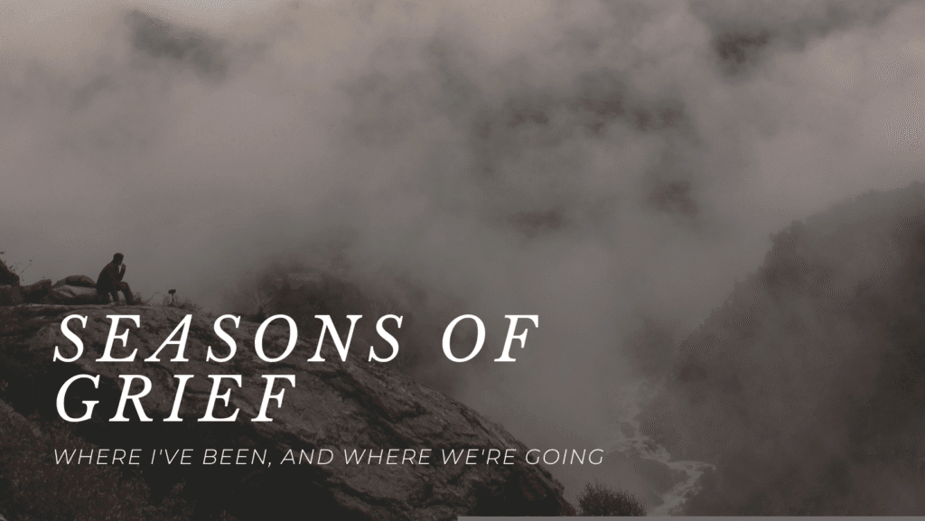 Cover image for blog post: Seasons of Grief, where I've been and where we're going